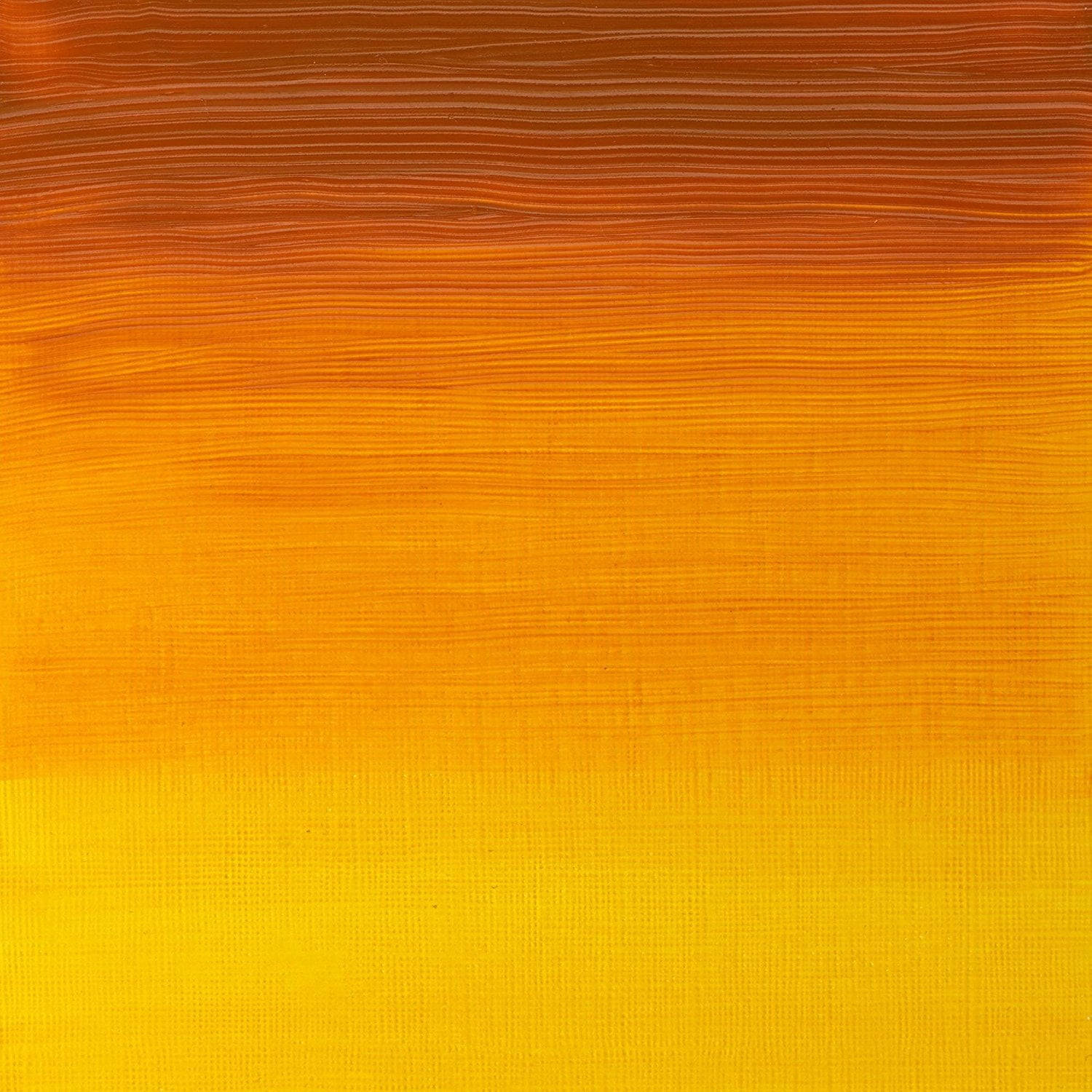 индийский желтый цвет. желтый в индии. желтый цвет в индии. индийское желтое сари. индийская желтая.