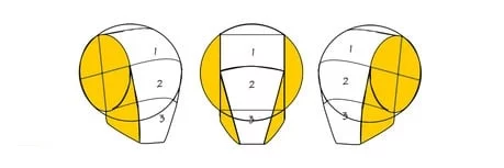 Dibujar la figura humana: elementos a considerar para hacerlo con éxito 64 tres estructuras craneales en distintos angulos se detalla tanto el craneo como la mandibula 1