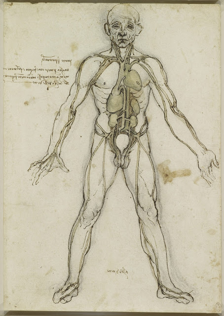 La Anatomía y el Dibujo según Leonardo Da Vinci 
