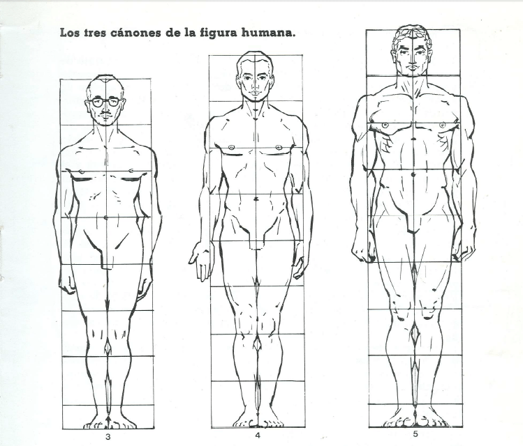 los tres canones de la figura humana