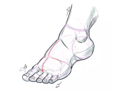 Tips para aprender a dibujar las piernas y los pies 