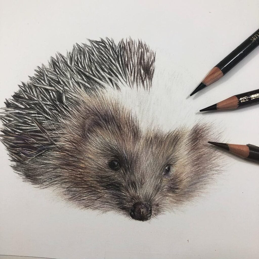 Dibujar animales con lápices de colores en 9 pasos 