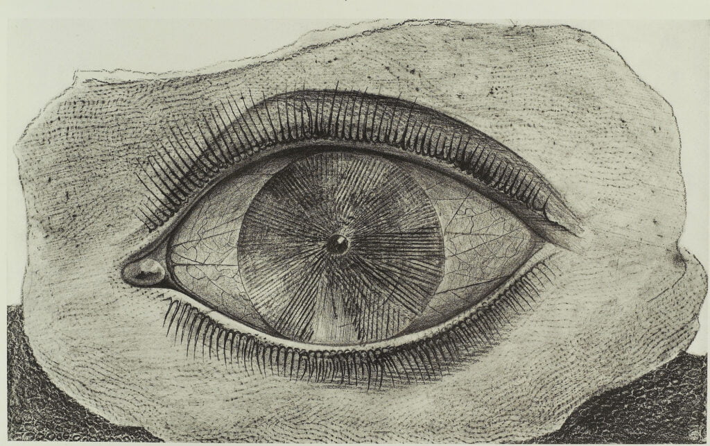 max ernst wheel of light