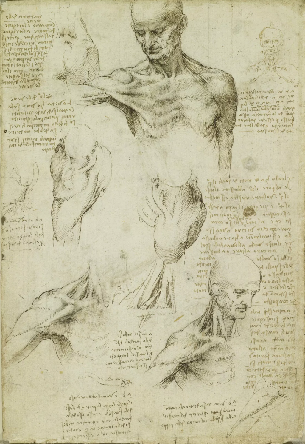 pinturas y técnicas de Leonardo da Vinci 9