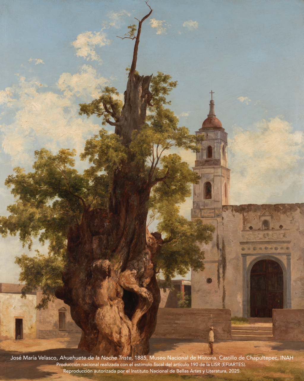 José María Velasco: paisaje, estructura y técnica en la construcción del territorio mexicano 49 José María Velasco 5