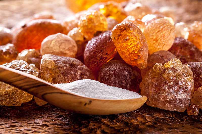 La materia que hace visible el arte: historia y poder del aglutinante en la pintura 36 Aglutinante 2